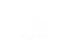 Coperto